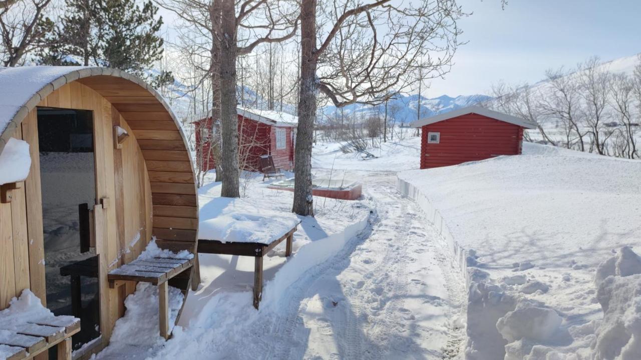 Dalvik Vegamot Cottages Extérieur photo